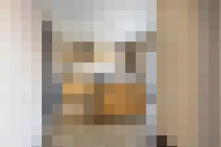Kleine vos 6 Sneek thumbnail 14