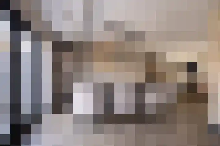 Kleine vos 6 Sneek thumbnail 15