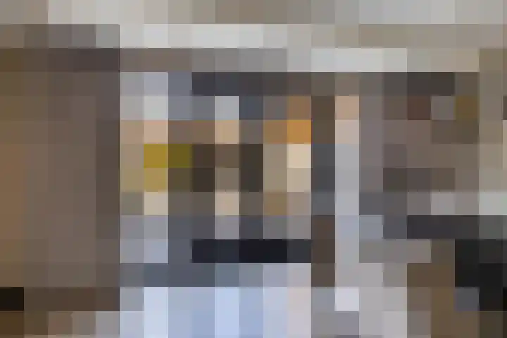 Kleine vos 6 Sneek thumbnail 16