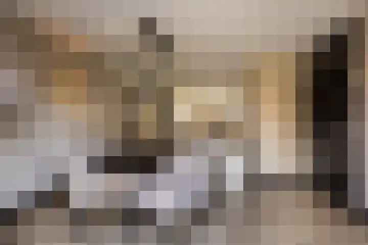 Kleine vos 6 Sneek thumbnail 18