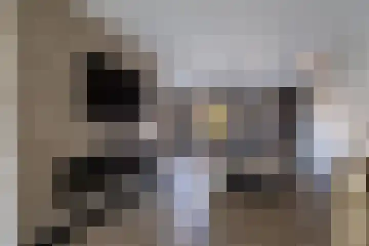 Kleine vos 6 Sneek thumbnail 20