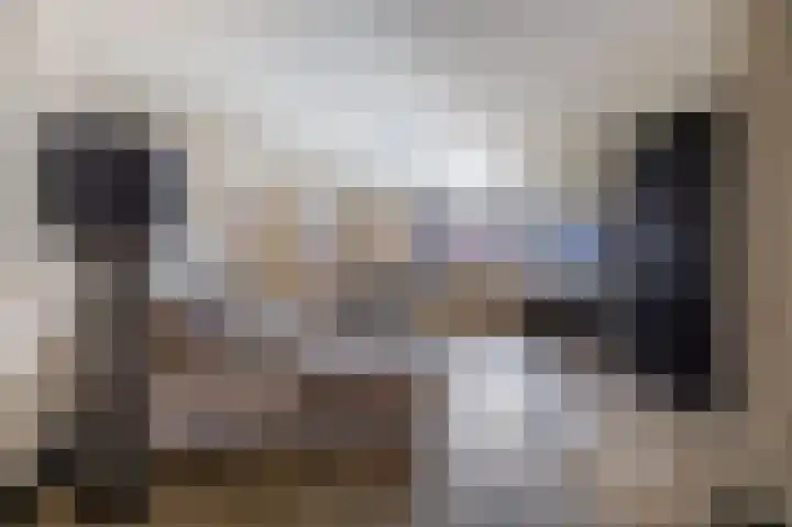 Kleine vos 6 Sneek thumbnail 21