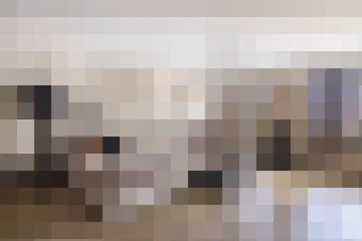 Kleine vos 6 Sneek thumbnail 22
