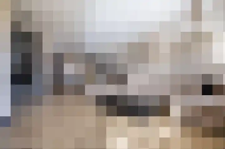 Kleine vos 6 Sneek thumbnail 23