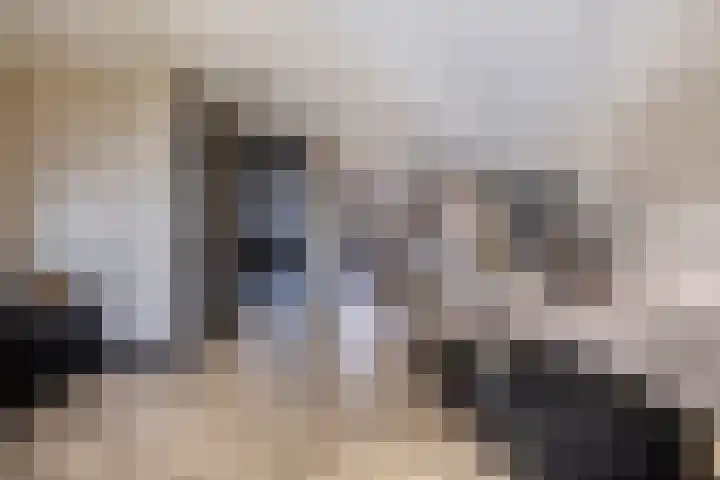 Kleine vos 6 Sneek thumbnail 24