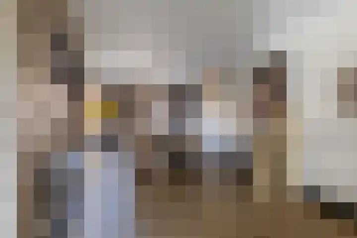 Kleine vos 6 Sneek thumbnail 25
