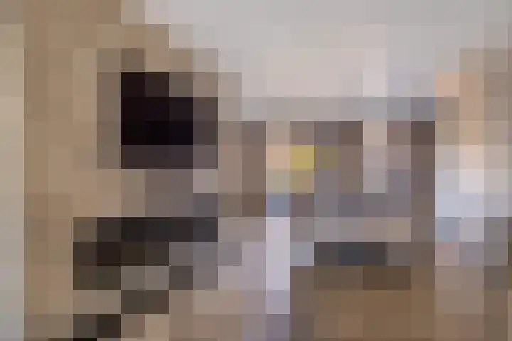 Kleine vos 6 Sneek thumbnail 26