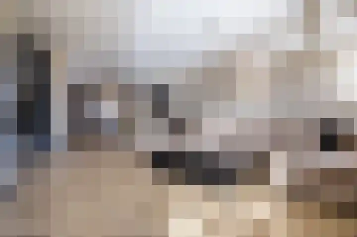 Kleine vos 6 Sneek foto 3
