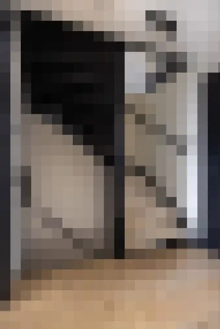 Kleine vos 6 Sneek thumbnail 30