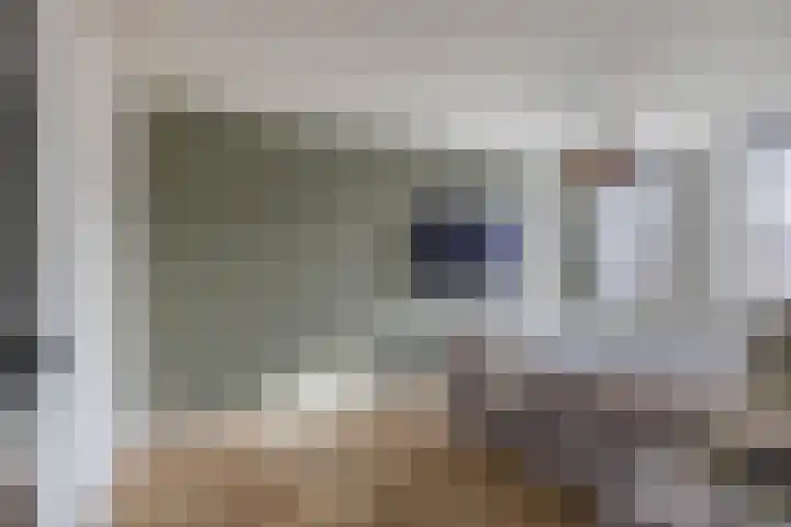 Kleine vos 6 Sneek thumbnail 32