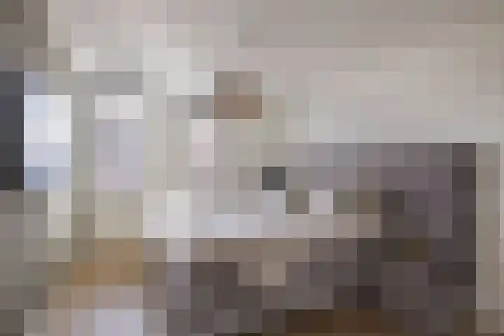 Kleine vos 6 Sneek thumbnail 33