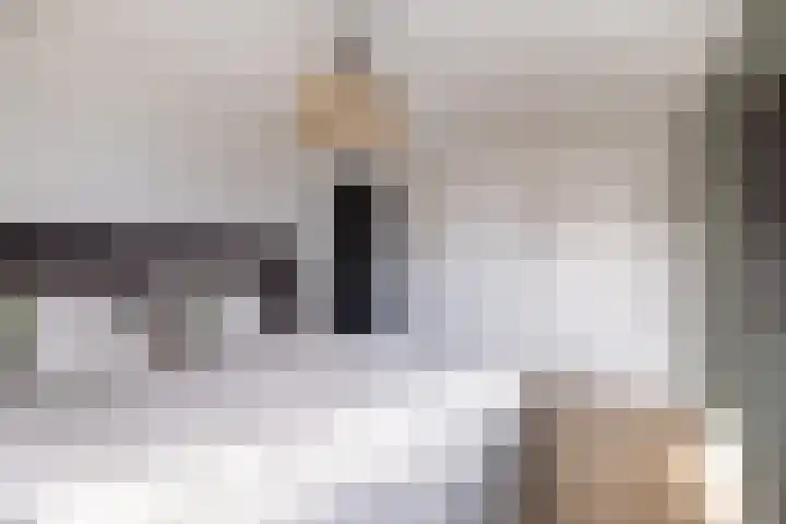 Kleine vos 6 Sneek thumbnail 34