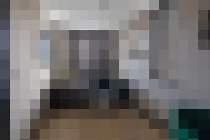 Kleine vos 6 Sneek thumbnail 37