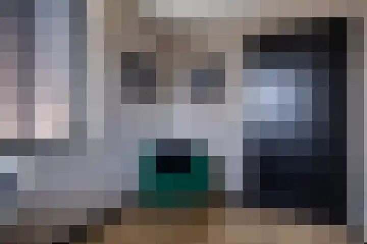 Kleine vos 6 Sneek thumbnail 38