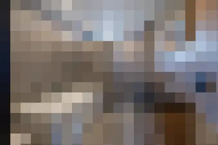 Kleine vos 6 Sneek thumbnail 39