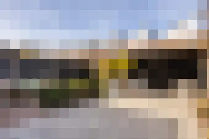 Kleine vos 6 Sneek thumbnail 4