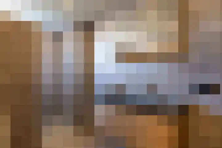 Kleine vos 6 Sneek thumbnail 40