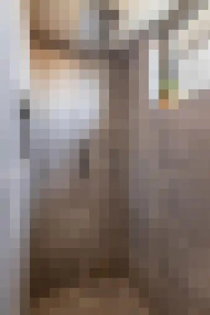 Kleine vos 6 Sneek thumbnail 41