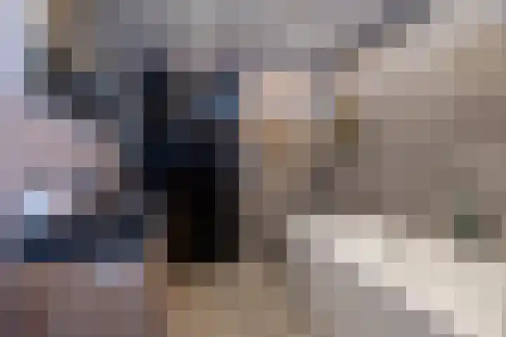 Kleine vos 6 Sneek thumbnail 42