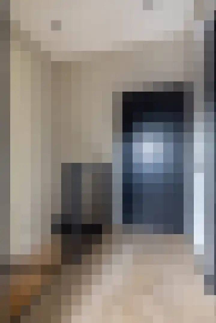 Kleine vos 6 Sneek thumbnail 43
