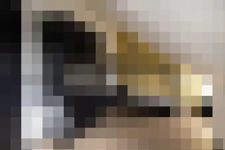 Kleine vos 6 Sneek thumbnail 45