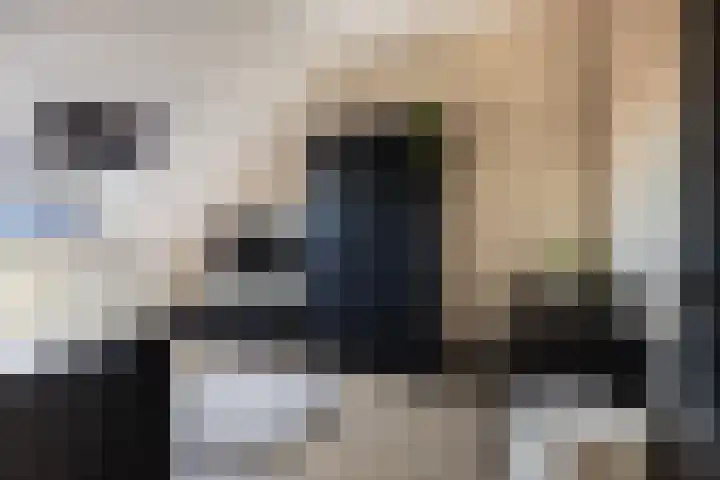 Kleine vos 6 Sneek thumbnail 47