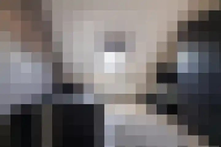 Kleine vos 6 Sneek thumbnail 48