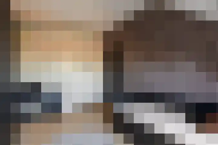 Kleine vos 6 Sneek thumbnail 49