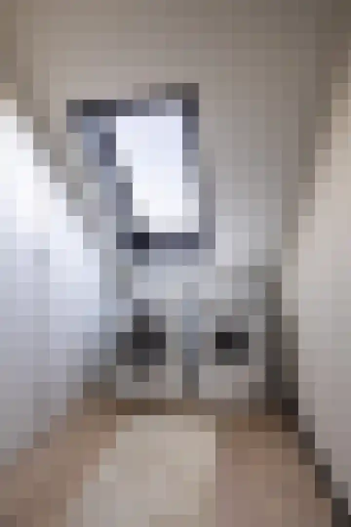 Kleine vos 6 Sneek thumbnail 50