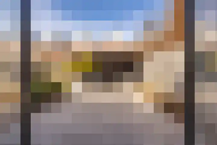 Kleine vos 6 Sneek thumbnail 51
