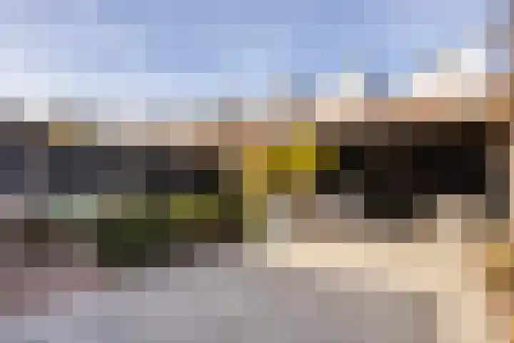 Kleine vos 6 Sneek thumbnail 52