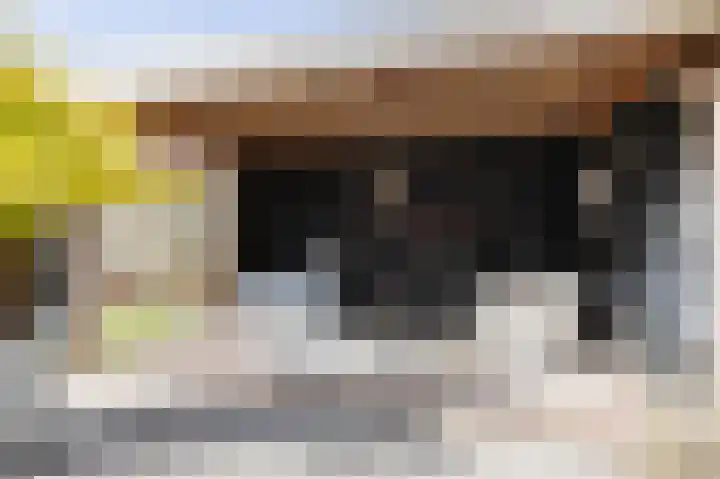 Kleine vos 6 Sneek thumbnail 53