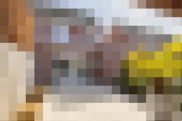 Kleine vos 6 Sneek thumbnail 54