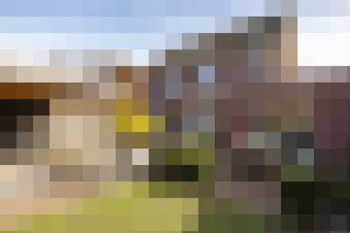 Kleine vos 6 Sneek thumbnail 55