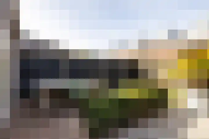 Kleine vos 6 Sneek thumbnail 56