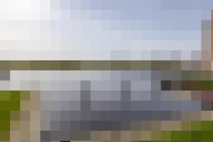 Kleine vos 6 Sneek thumbnail 57
