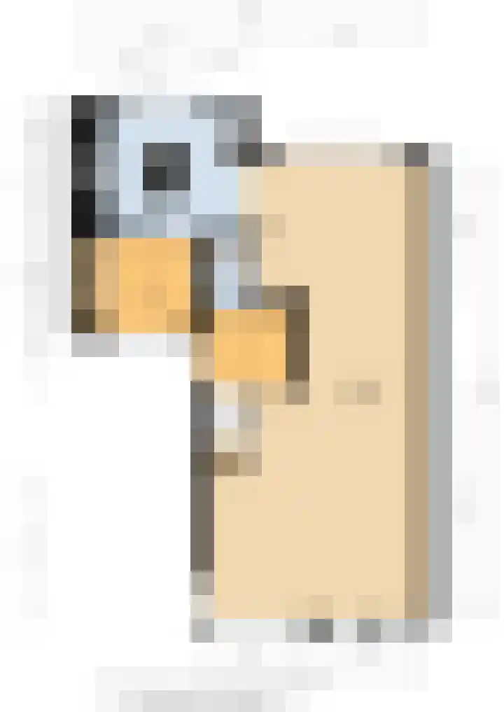 Kleine vos 6 Sneek thumbnail 58