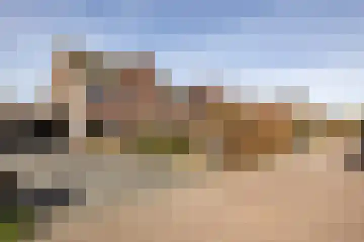 Kleine vos 6 Sneek thumbnail 6