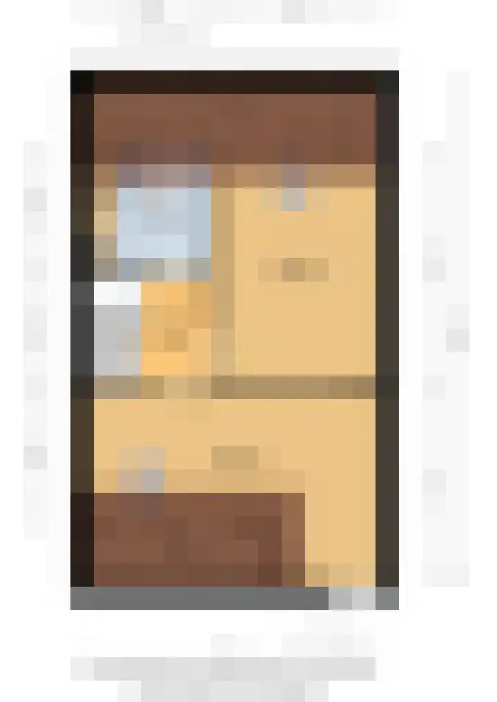 Kleine vos 6 Sneek thumbnail 62