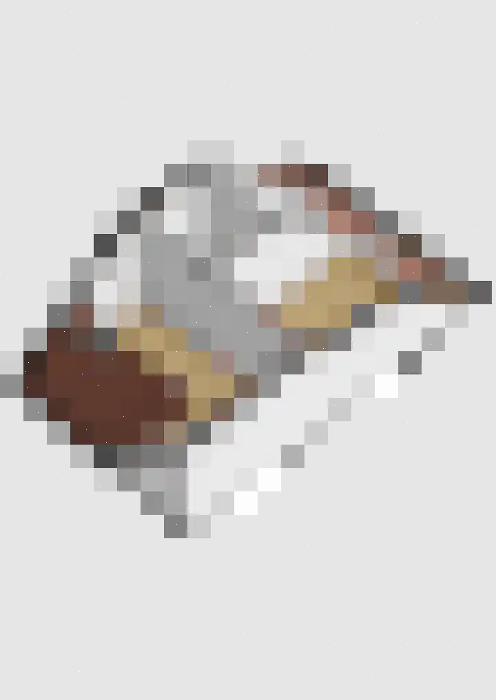 Kleine vos 6 Sneek thumbnail 63