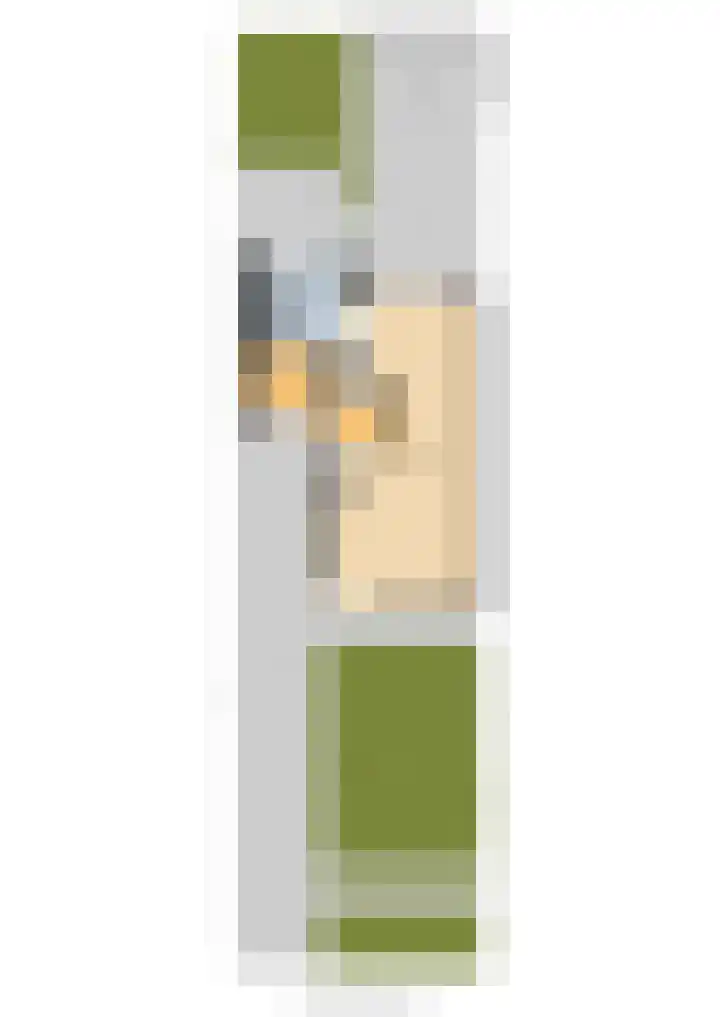 Kleine vos 6 Sneek thumbnail 64
