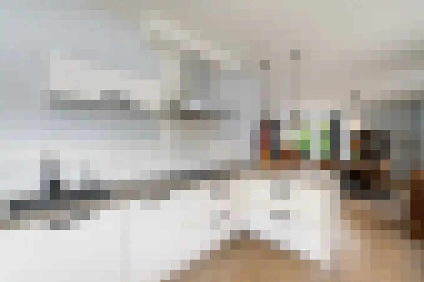 Kleine vos 6 Wolvega thumbnail 12