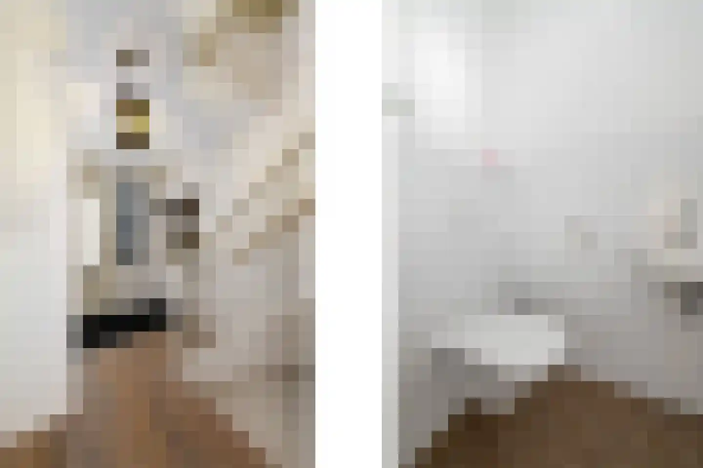 Kleine vos 6 Wolvega thumbnail 13