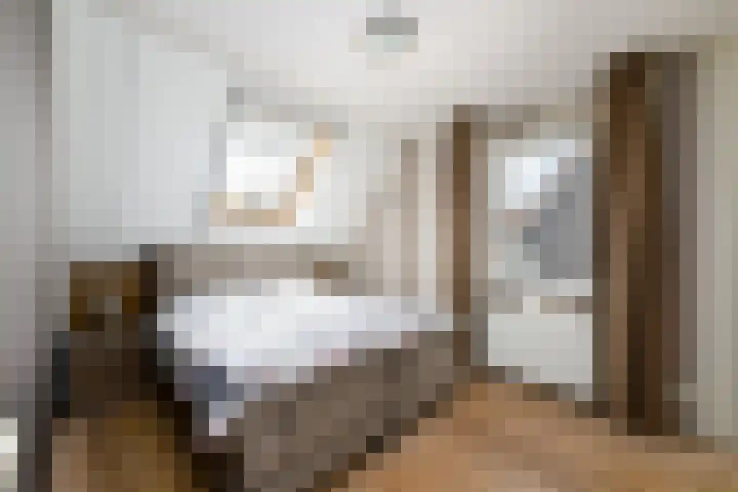 Kleine vos 6 Wolvega thumbnail 14
