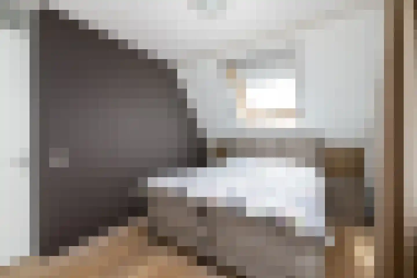 Kleine vos 6 Wolvega thumbnail 15