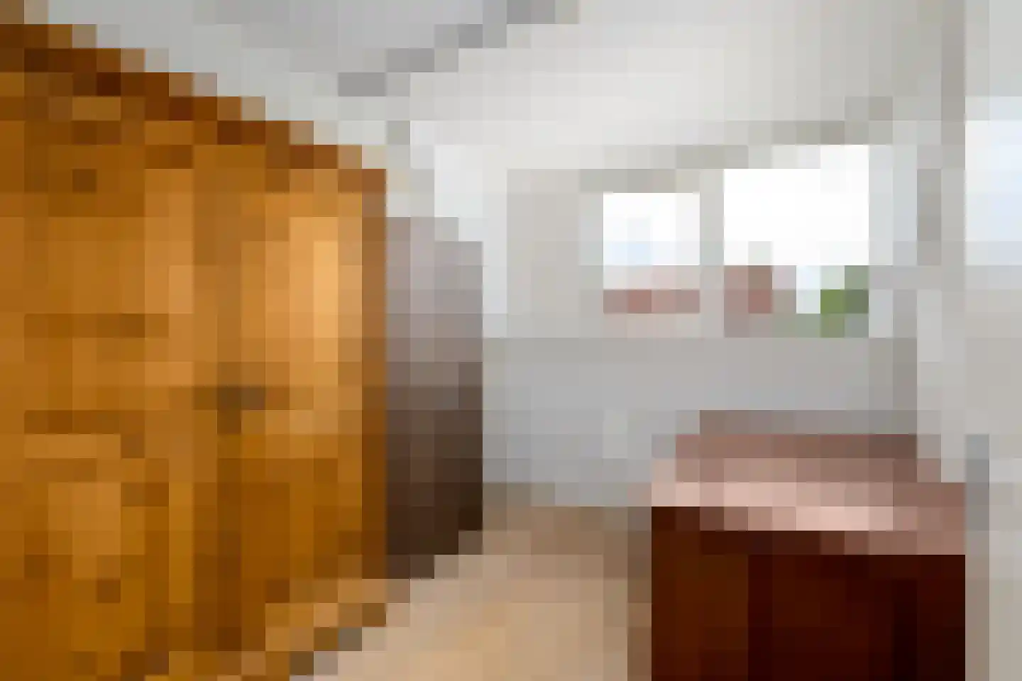 Kleine vos 6 Wolvega thumbnail 19