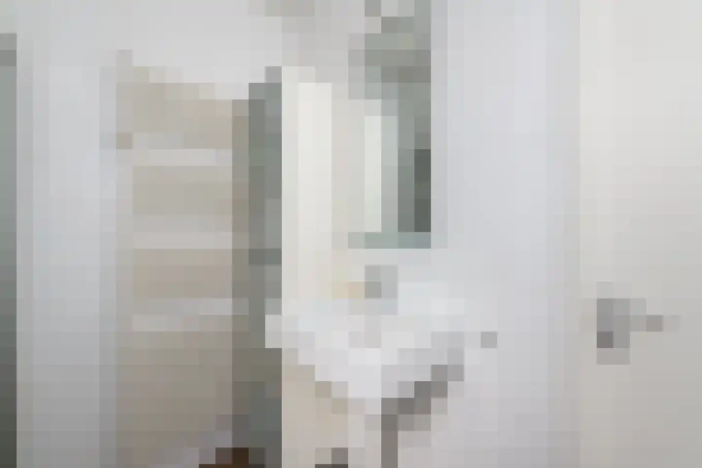 Kleine vos 6 Wolvega thumbnail 22