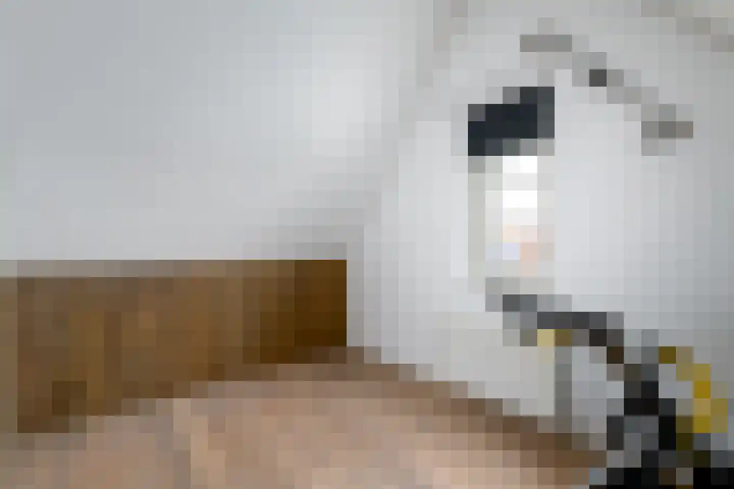Kleine vos 6 Wolvega thumbnail 26