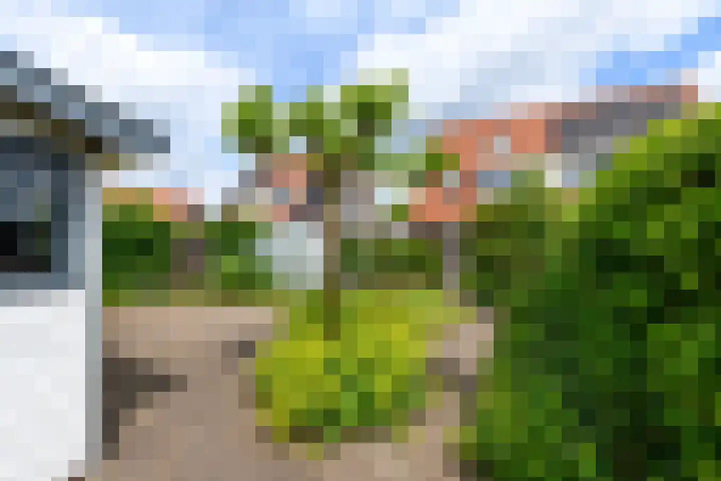 Kleine vos 6 Wolvega thumbnail 27
