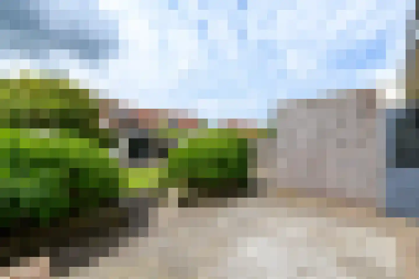 Kleine vos 6 Wolvega thumbnail 28